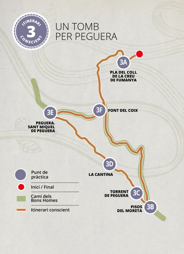 Circuit 3