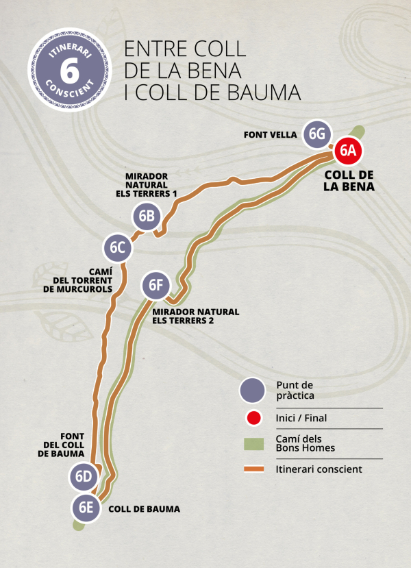 Circuit 6
