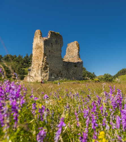 Castell de Montaillou