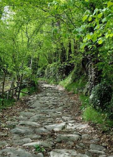 Caminet de montferrer