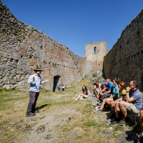 Guides culturels Montségur