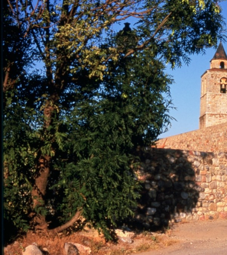 En bicicleta per Santa Maria de Talló