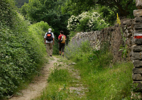 Caminet de Prullans a Ardòvol