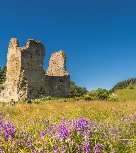 Castell de Montaillou