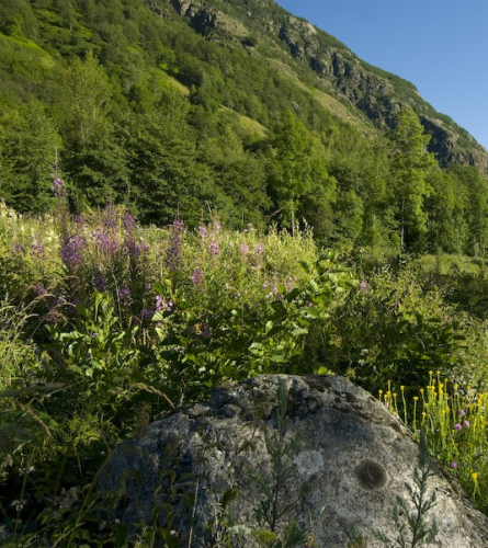 Riu de l'Arieja, a prop de Mérens-les-Vals, Arieja