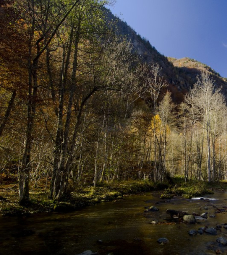 Riu l'Oriège, Arieja
